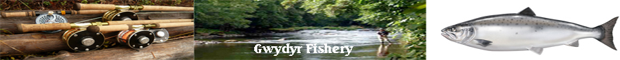 Gwydyr Fishery